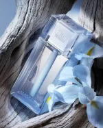 Homme Cologne 2013 eau de cologne para homens 75 ml