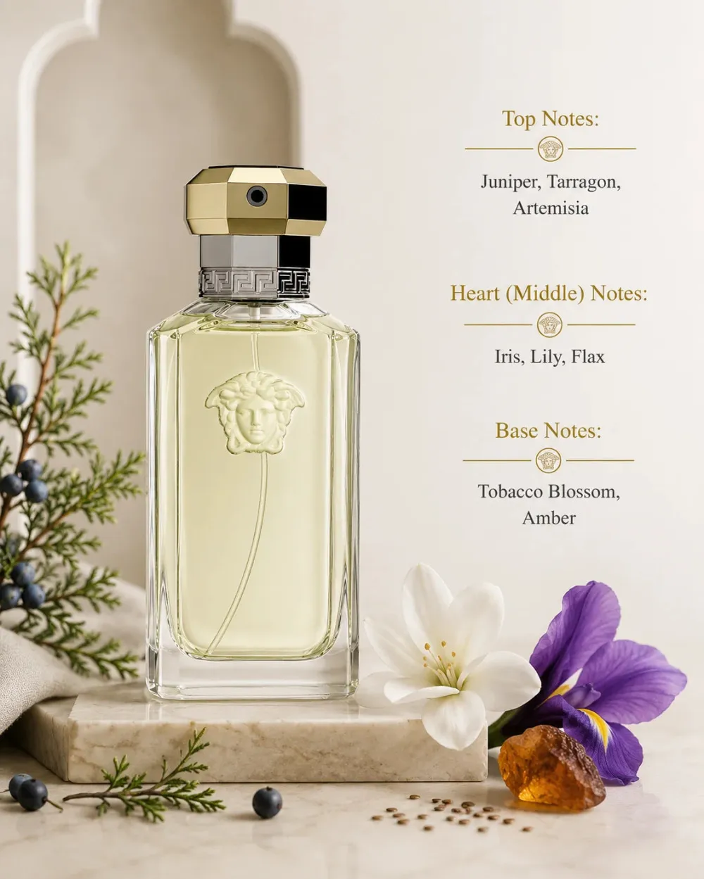 Dreamer eau de toilette para homens 50 ml