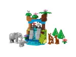 DUPLO® 10446 Famílias de animais selvagens 3 em 1