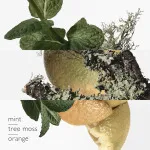 Eau D'Orange Verte água de colónia unissexo 200 ml