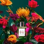 Eight & Bob Annicke 6 eau de parfum para mulheres 100 ml