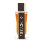 Spicy Leather Eau de Parfum para homens 100 ml