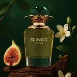 Elinor Green Eau de Parfum Unissex 100 ml