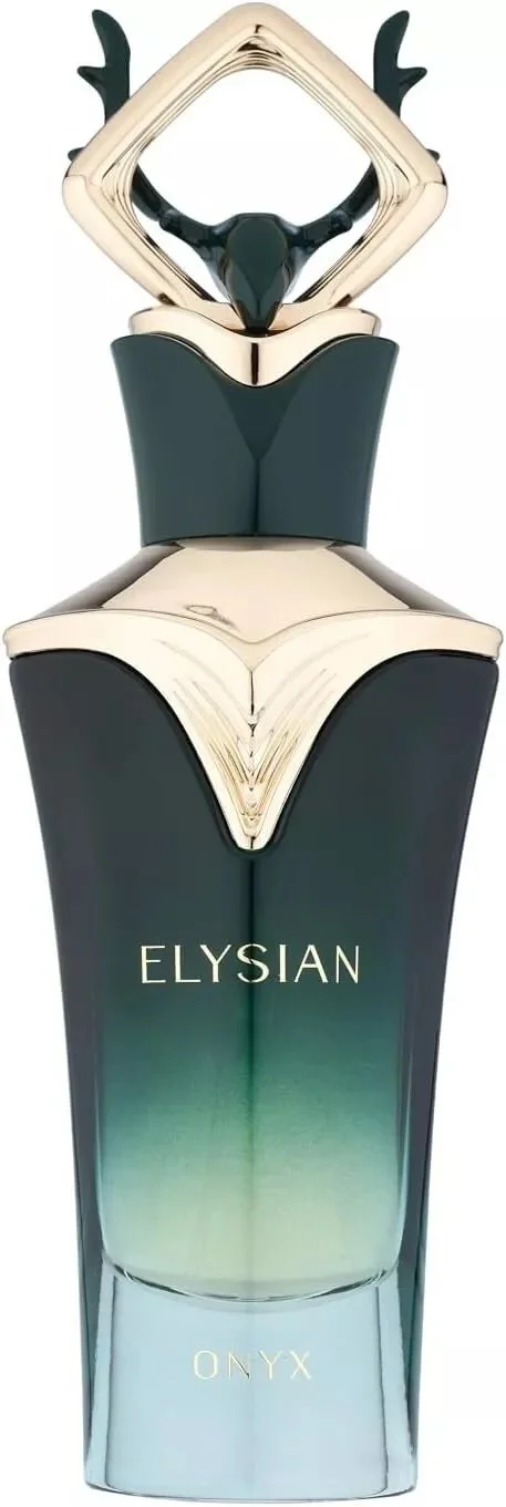 Elysian Onyx M Água de Perfume 100 ml