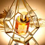 Ambassador For Women eau de parfum para mulheres 50 ml