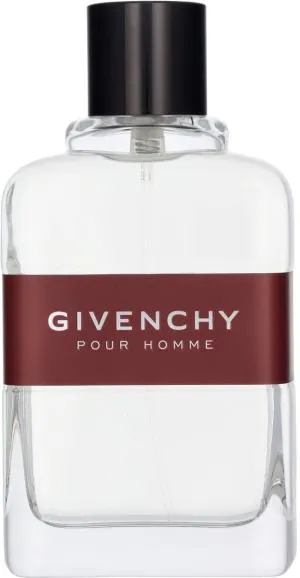 Givenchy Pour Homme eau de toilette para homem 100 ml