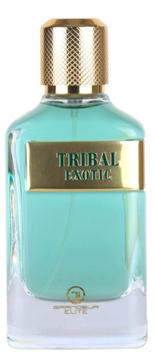 Tribal Exotic M 100 Água de Perfume