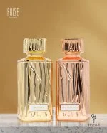 Envy Gold W Água de Perfume 100 ml