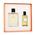 Terre D'Hermès eau de toilette para homem 100 ml + gel de duche 80 ml