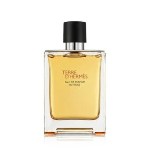 Hermes Terre d’Hermès Intense Intense eau de parfum recarregável para homens