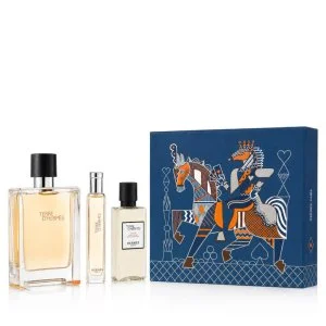 Hermes Terre D'Hermès 100 ml + EDT 15 ml + AS eau de toilette para homens
