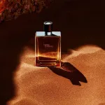 Terre d'Hermes eau de toilette para homens 50 ml