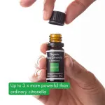Incognito Óleo essencial de citronela BIO (10 ml) - não cheira a insectos difíceis
