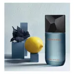 Fusion D'Issey eau de toilette 100 ml para homens