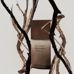 L'Eau d'Issey Pour Homme Wood&Wood eau de parfum para homens 100 ml