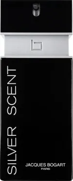 Silver Scent água de toilette para homens 100 ml