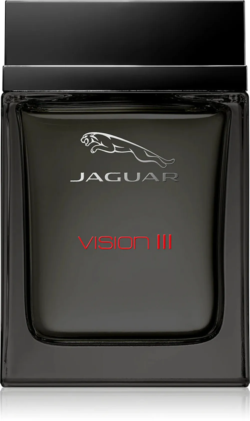 Vision III eau de toilette para homens 100 ml