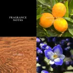 Artisan eau de toilette para homens 125 ml