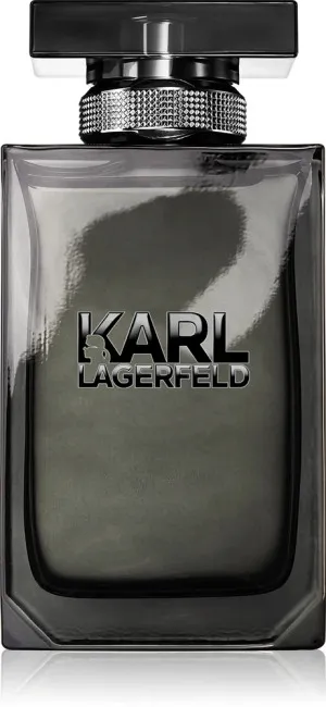 Karl Lagerfeld For Him eau de toilette para homens 100 ml
