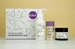 Kvitok Pacote de oferta Lavender Dream - creme de duche, desodorizante e creme corporal