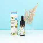 Kvitok Soro da pele - Colagénio vegetal (10 ml) - suaviza e melhora a elasticidade