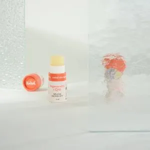 Kvitok Bálsamo labial regenerador com Q10 (8 ml) - com óleo de ameixa