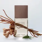 L'Eau d'Issey Pour Homme Vétiver Intense água de toilette para homens 100 ml