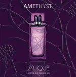 Amethyst eau de parfum para mulheres 100 ml