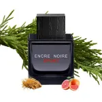 Encre Noire Sport eau de toilette para homens 100 ml