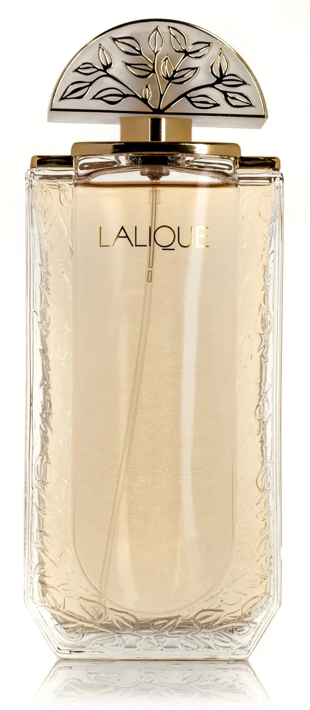 eau de parfum para mulheres 100 ml