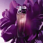 Trésor Midnight Rose eau de parfum para mulheres 50 ml