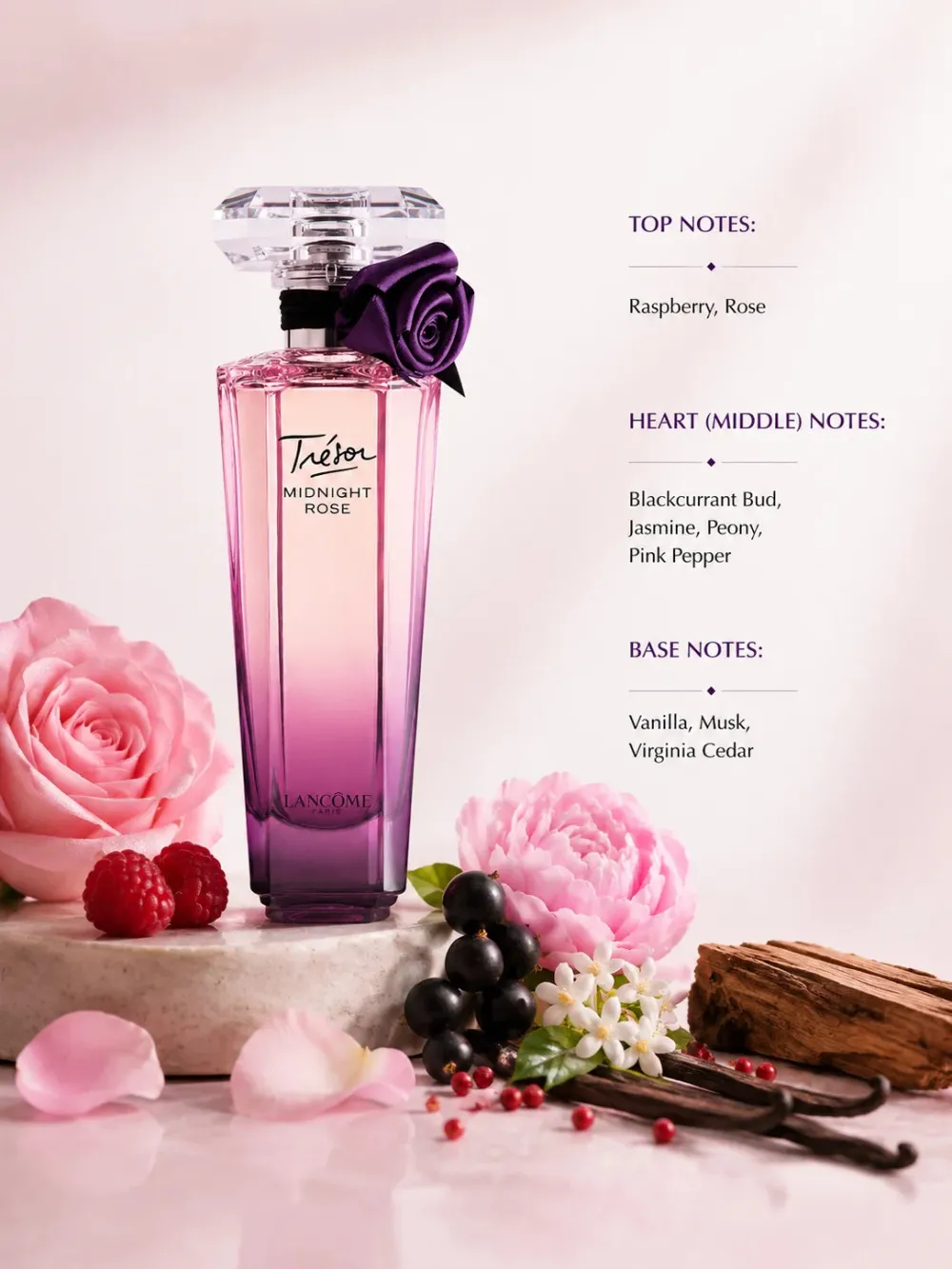 Trésor Midnight Rose eau de parfum para mulheres 50 ml