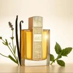 Angham Eau de Parfum Unissex 100 ml