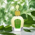 Tameen Collection Musk Wild Vanille eau de parfum para mulheres 100 ml