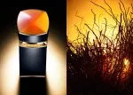 Le Gemme Ambero eau de parfum para homens 100 ml