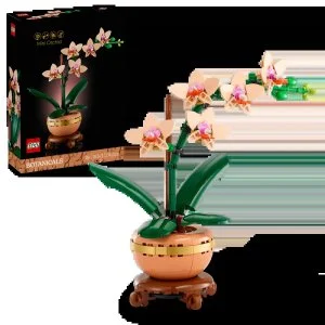 LEGO® Botanicals 10343 Orquídea em Miniatura