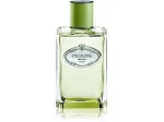 Les Infusions de Vetiver água de perfume unissex 100 ml