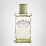 Les Infusions de Vetiver água de perfume unissex 100 ml