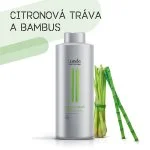 Champô para Volume Impressionante 250 ml