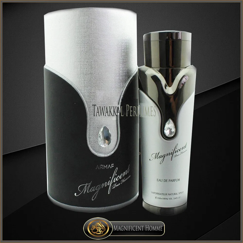 Magnificent Pour Homme eau de parfum para homem 100 ml