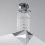 Silver Elixir Eau de Parfum Unissex 100 ml