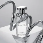 Silver Elixir Eau de Parfum Unissex 100 ml
