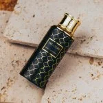Treasure U água de perfume 100 ml