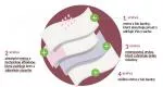 Organyc Cuecas menstruais de algodão orgânico - ultra absorventes S