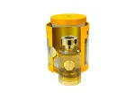 Mango Jugoso água de perfume unissex 100 ml