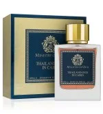 Thailand Oud In Cairo extrato de perfume unissex 100 ml