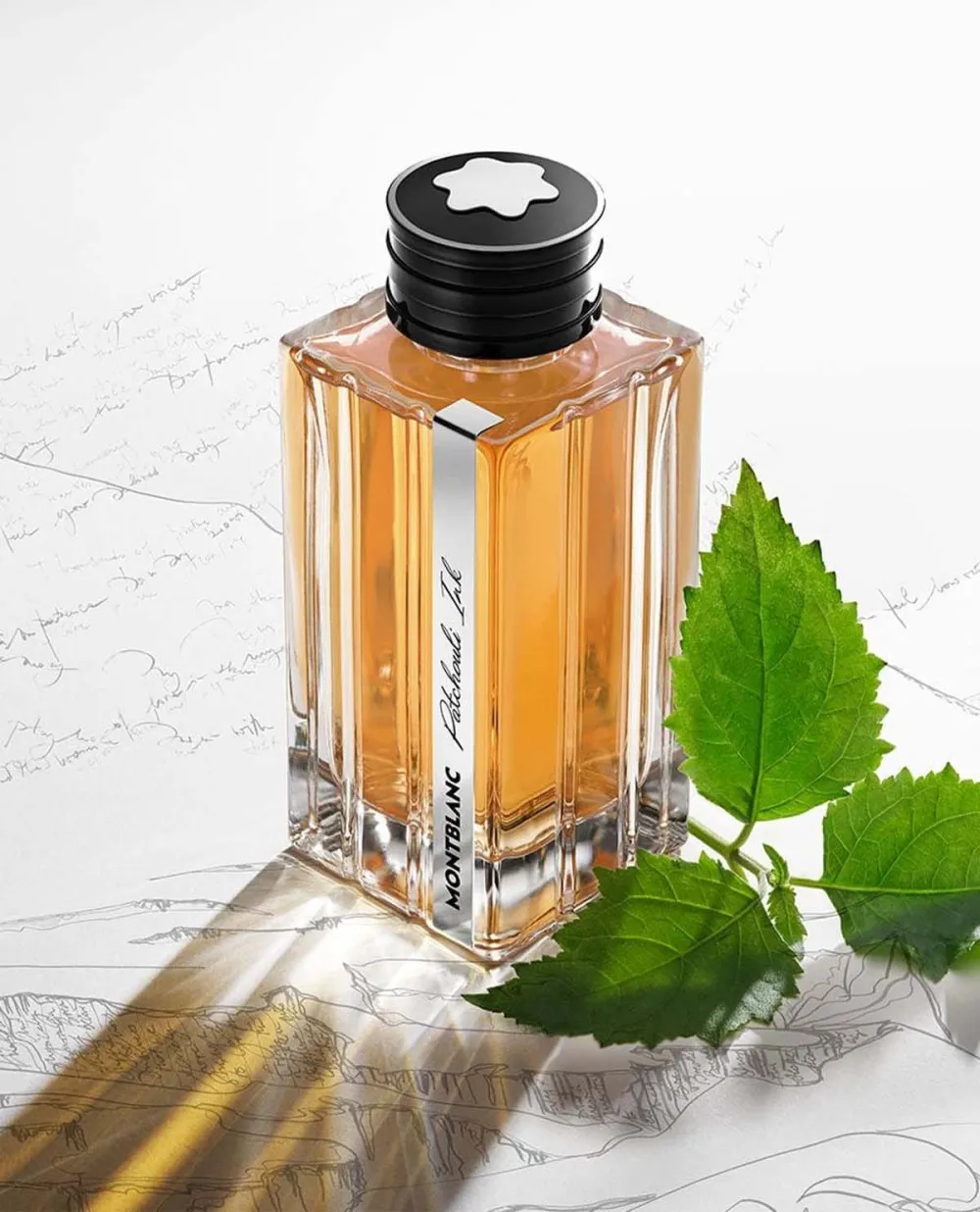 Patchouli Ink eau de parfum para homens 125 ml
