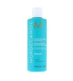 Shampoo Reparador de Hidratação 250 ml