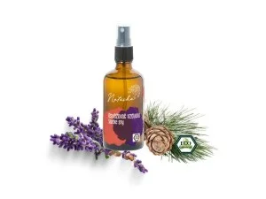 Natasha Ambientador - Doces Sonhos (100 ml) - acalma e prepara para o sono