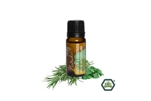 Natasha Mistura de óleos essenciais (10 ml) - Inspiração e concentração